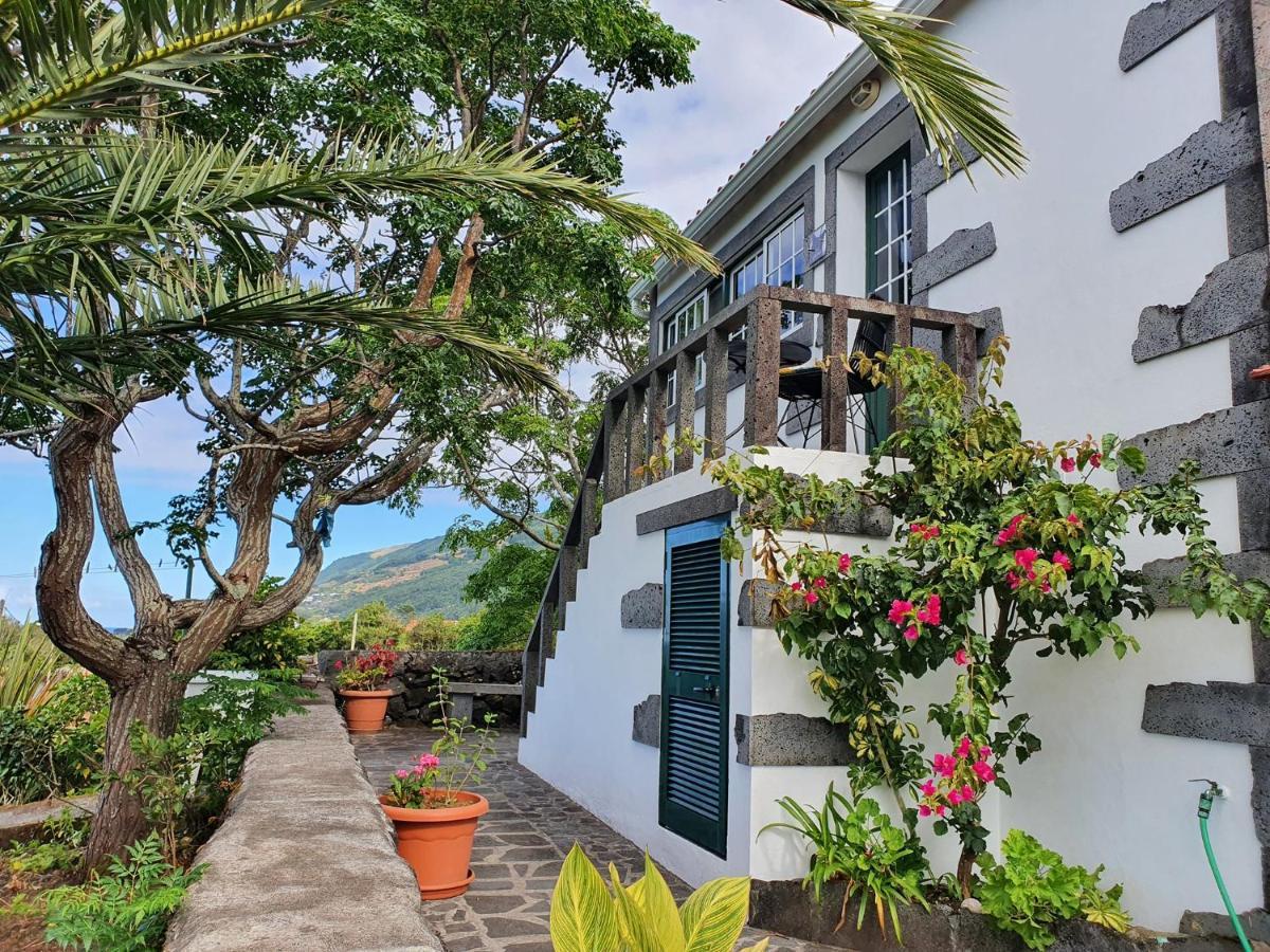 Вілла Casa Do Gato Preto Santo Amaro  Екстер'єр фото