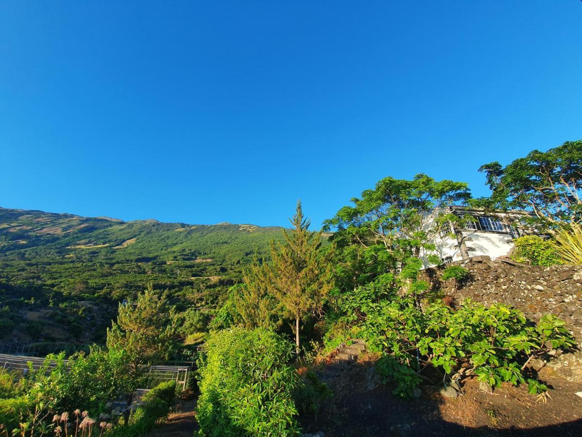 Вілла Casa Do Gato Preto Santo Amaro  Екстер'єр фото